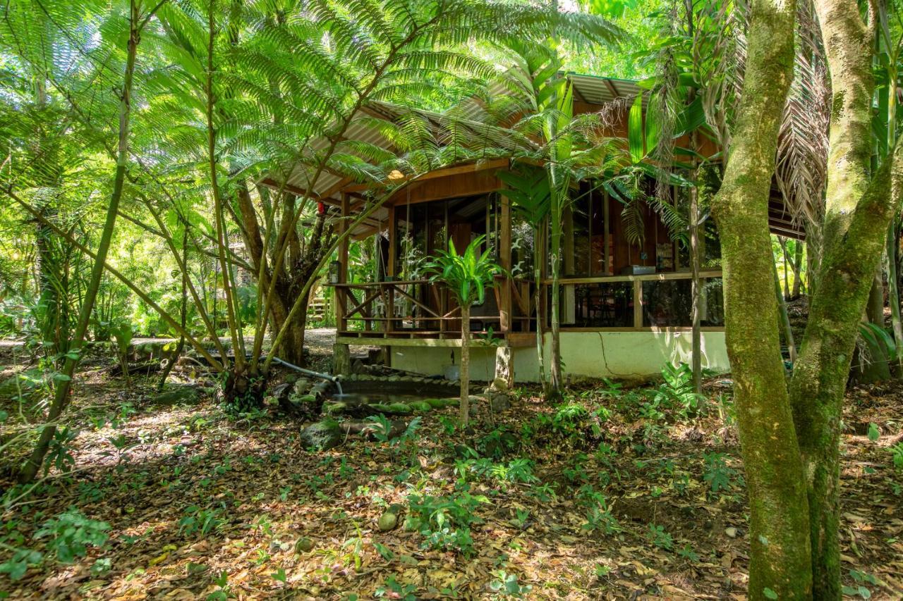 Cabanas Del Lago La Fortuna Exterior photo