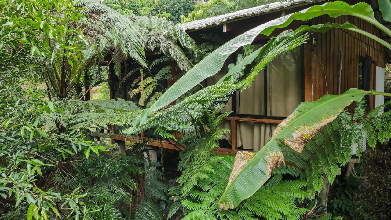 Cabanas Del Lago La Fortuna Exterior photo