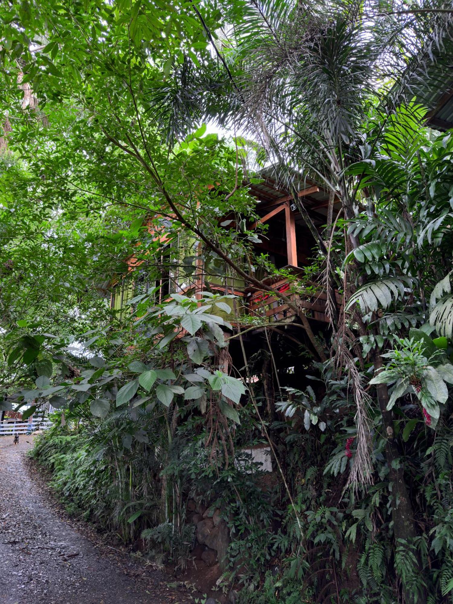 Cabanas Del Lago La Fortuna Exterior photo