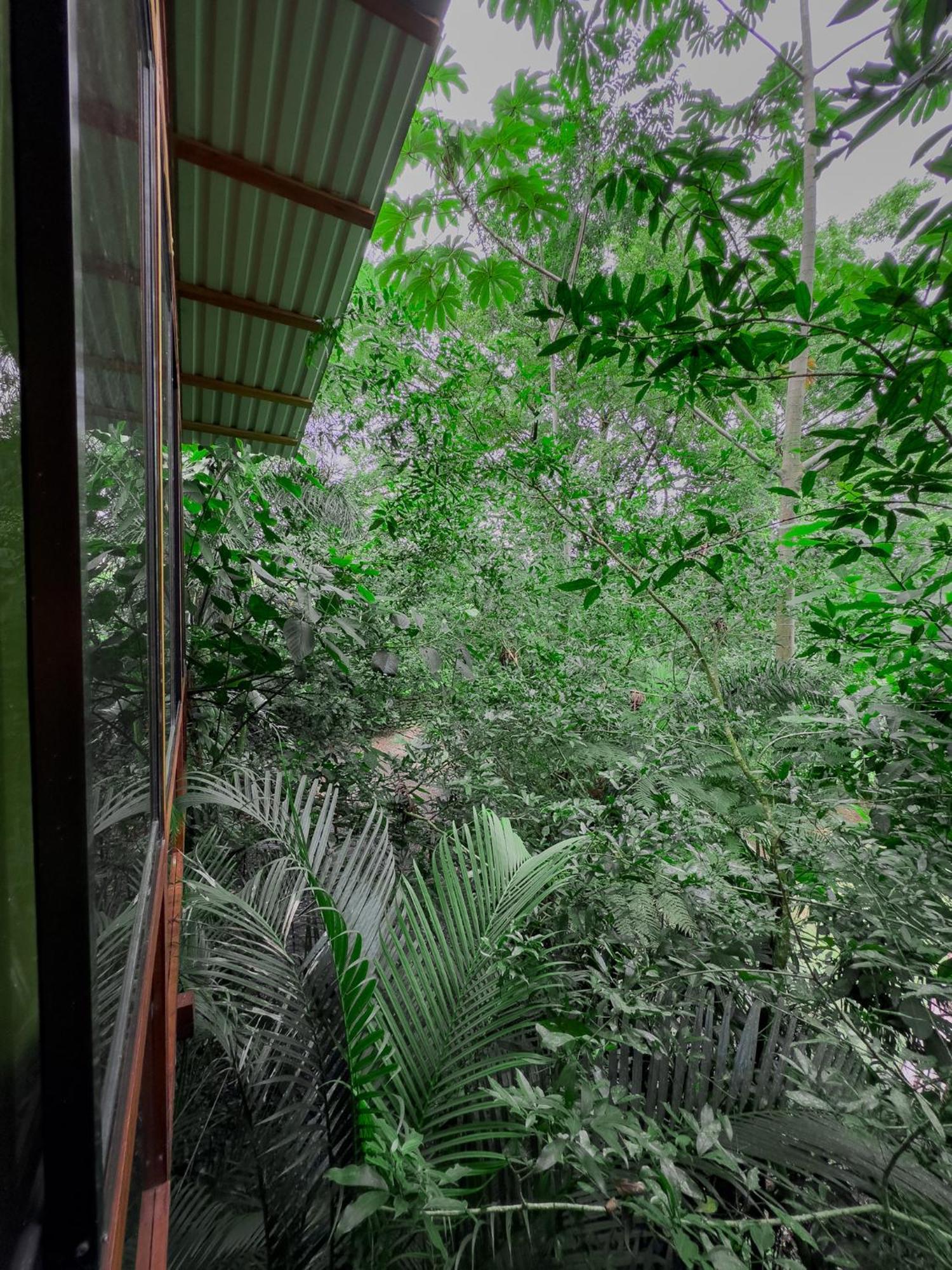 Cabanas Del Lago La Fortuna Exterior photo